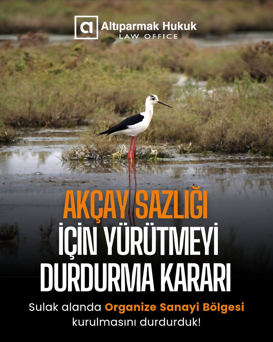 Nadir ve zengin bir ekosistemi barındıran, afet risk azaltma ve iklim değişikliği ile mücadelede hayati bir öneme sahip olan sulak alanlar korunmak zorunda! 
#sulakalan #Akçaysazlığı #Doğa #hukuk #Çevre #Altıparmakhukuk