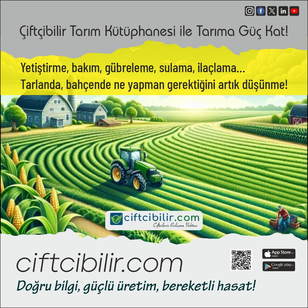 Daha fazla bilgiye sitemizin Tarım Kütüphanesi bölümünden ulaşabilirsiniz.
İlanlarınızı sitemizde ücretsiz yayınlayabilirsiniz...
ciftcibilir.com