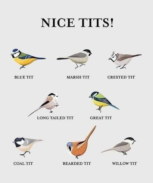 YodaBoost's tweet photo. I no longer call Tate titty, here's whyπ
#decisionsdecisons https://t.co/Ue4Rd9OSdR