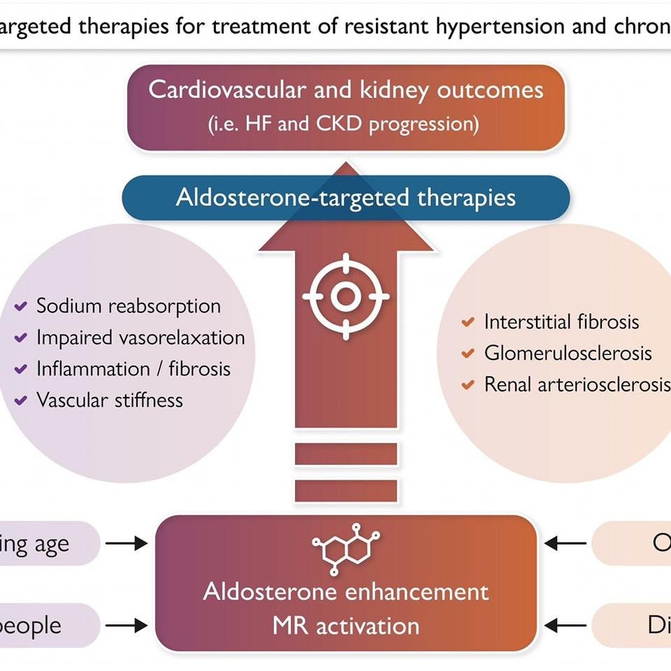 Aldosterone-targeted therapies: early implementation in resistant hypertension and chronic kidney disease

Aldostérone synthase inhibitors may emerge as a therapeutic option for patients with Treatment-resistant hypertension

academic.oup.com/eurheartj/adva…