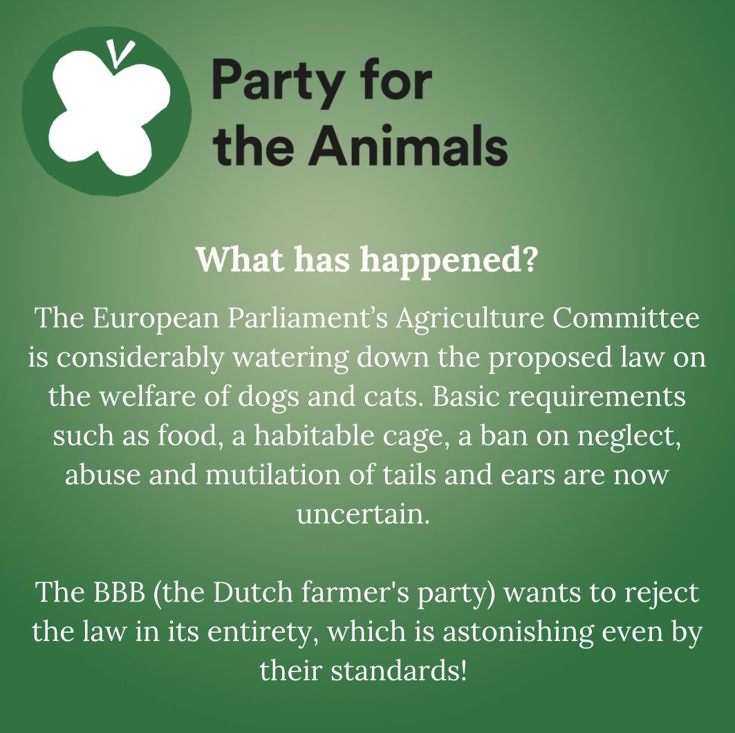 Animal Politics Foundation - Party for the Animals tweet media