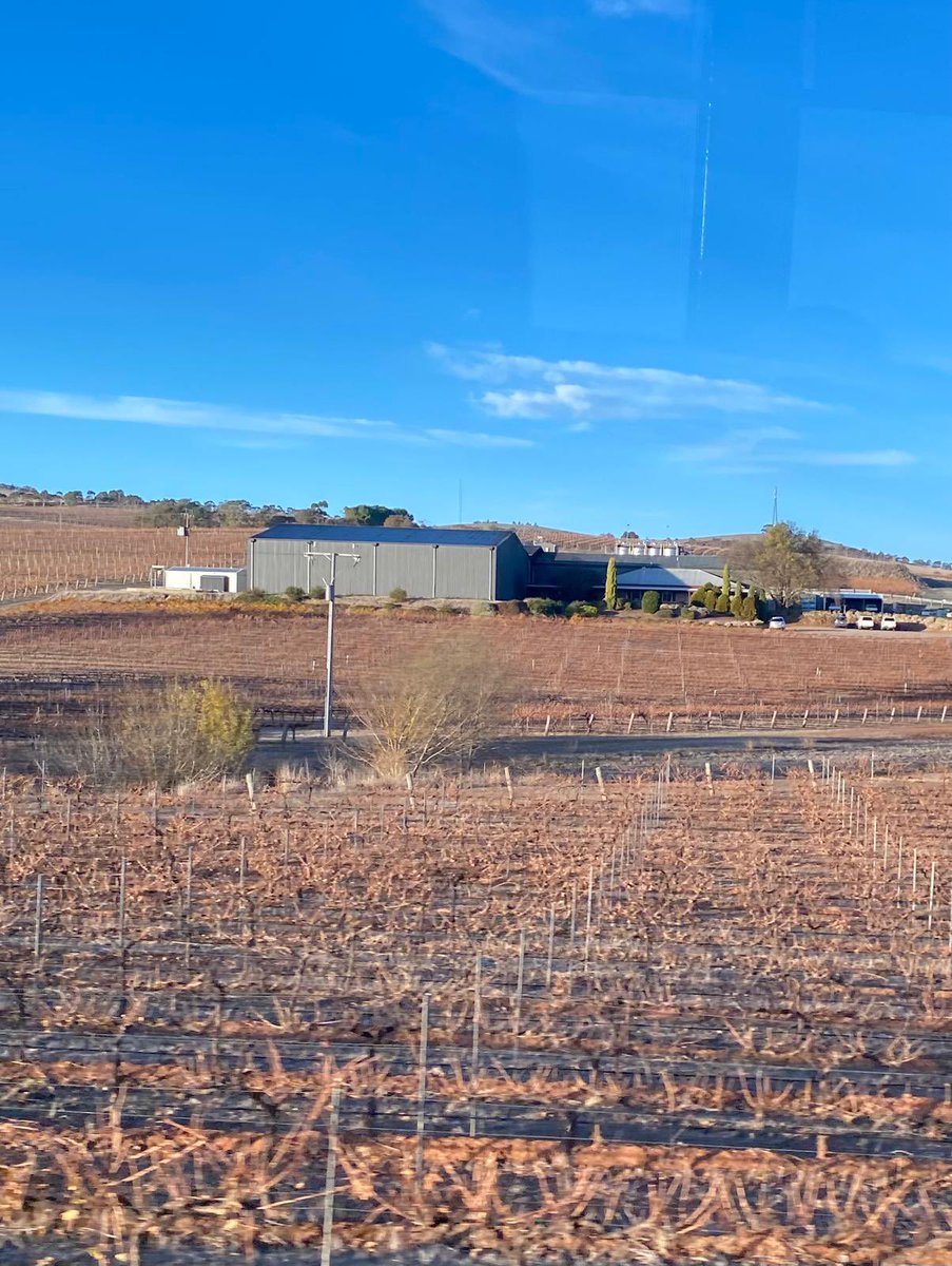 Día 3 #IRC2025 
Tour a Burra en Australia Meridional. Zona agrícola y ovejera, también de viñedos. Llueve anualmente unos 420 mm. La agricultura es continua, con laboreo mínimo, se siembra cebada y trigo.