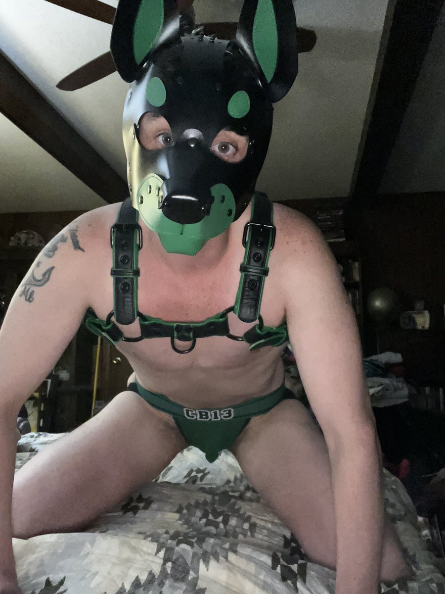 Twin cities transboy tweet media