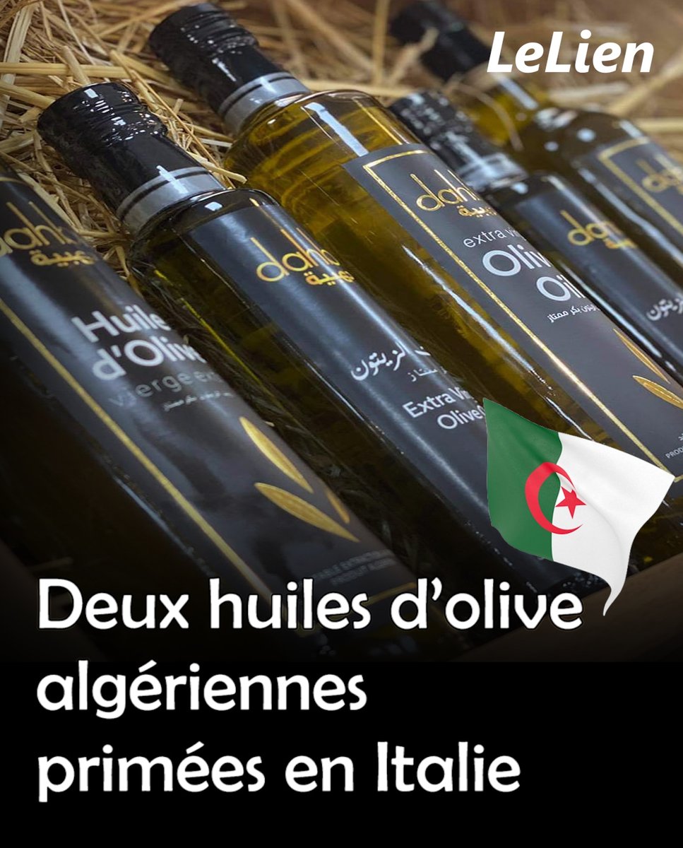 🇩🇿🥇 Deux huiles d’olive algériennes primées en Italie.

Deux marques d’huile d’olive algériennes distinguées au concours EVO IOOC 2025 en Italie, l’un des plus prestigieux au monde.

🥇 Dahbia (Aïn Ouessara) : médaille d’or
🥈 Chibi (Tizi Ouzou) : médaille d’argent

🔍 Un