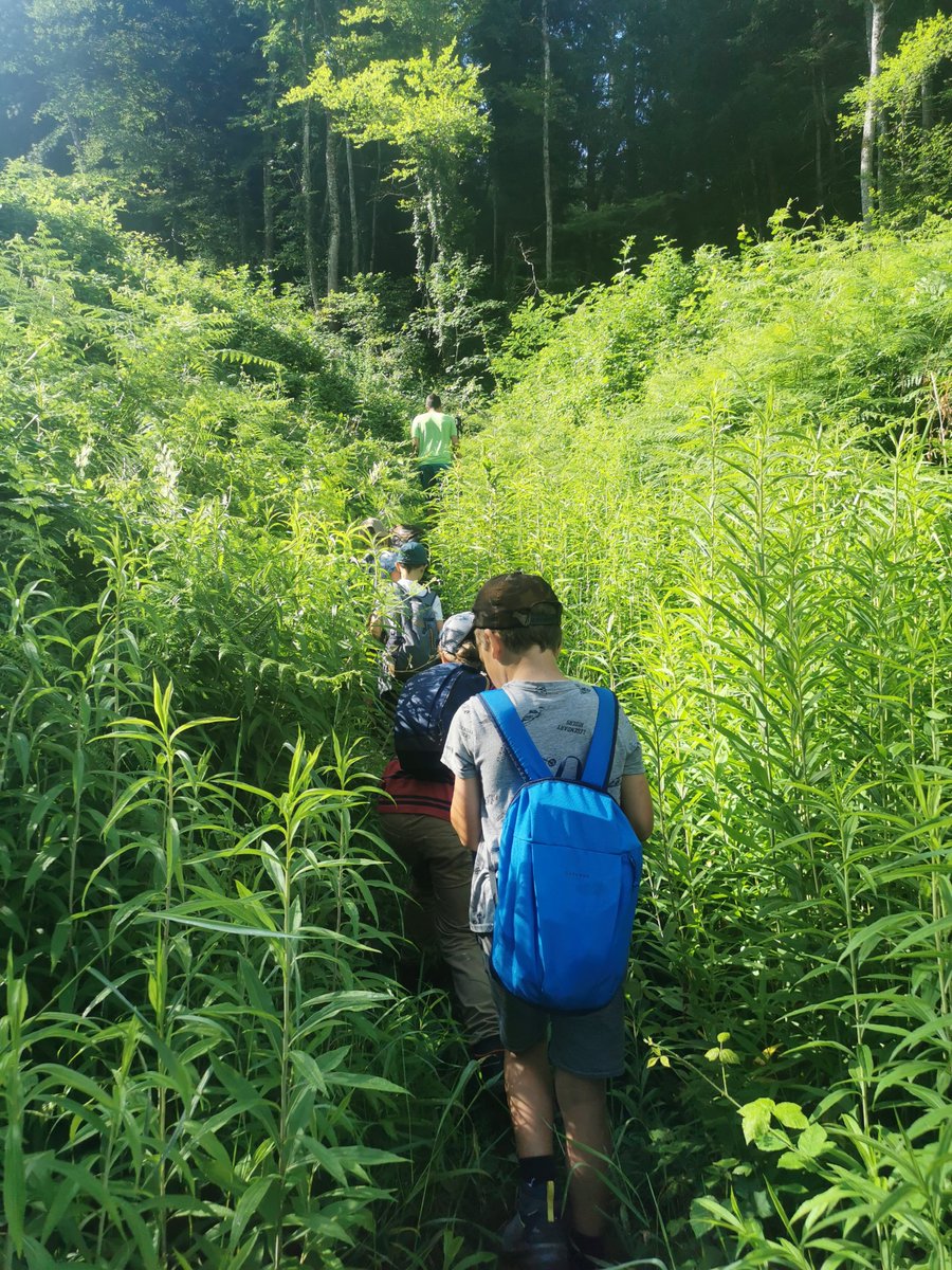 Trousse à projets (@trousseaprojets) on Twitter photo RDV à 14 h pour le webinaire <a href="/OFBiodiversite/">Office français de la biodiversité</a> autour des projets d’Aires Éducatives pour la rentrée 2025 🌳
👉 Inscription : formulaires.ofb.fr/inscription-au… RDV à 14 h pour le webinaire <a href="/OFBiodiversite/">Office français de la biodiversité</a> autour des projets d’Aires Éducatives pour la rentrée 2025 🌳
👉 Inscription : formulaires.ofb.fr/inscription-au…