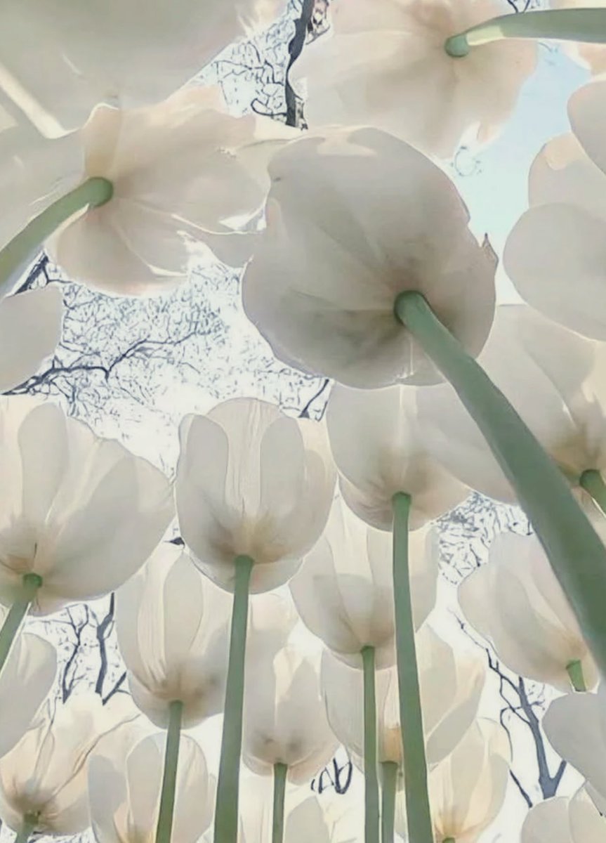 الحاجة تُسكت الذوق، وتُعلّم القلب معنى الامتنان.