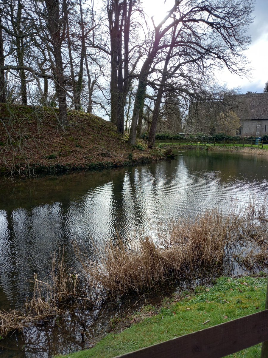 Good morning from the #WelshMarches.  A winter scene but all that remains of the motte and bailey castle at Eardisland, one of the much visited black and white villages. These remains of the motte hide beside the church, but worth a detour. And there are ducks.