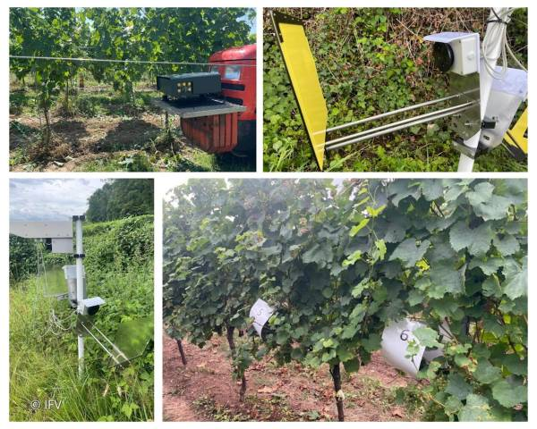 metos_austria's tweet image. 🚀From Field Signals to Smart Responses:
@STELLAHorizonEU Project Detects Plant Pathogens Before They Spread

We’ve just published STELLA&apos;s latest press release👉metos.global/news-from-stel…

#metosbypessl #STELLAProject