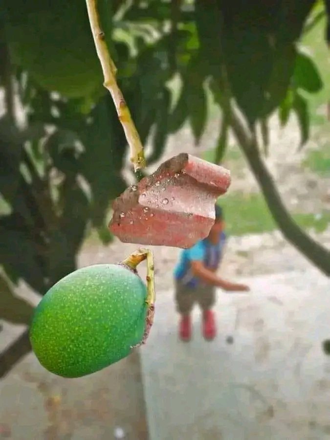 Nawe nga ofunayo omuwanvu 😌