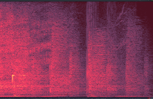 dealazer.com 🤪 "DeaL Ay ZeR"彡 - Best in Music 🎧 tweet media