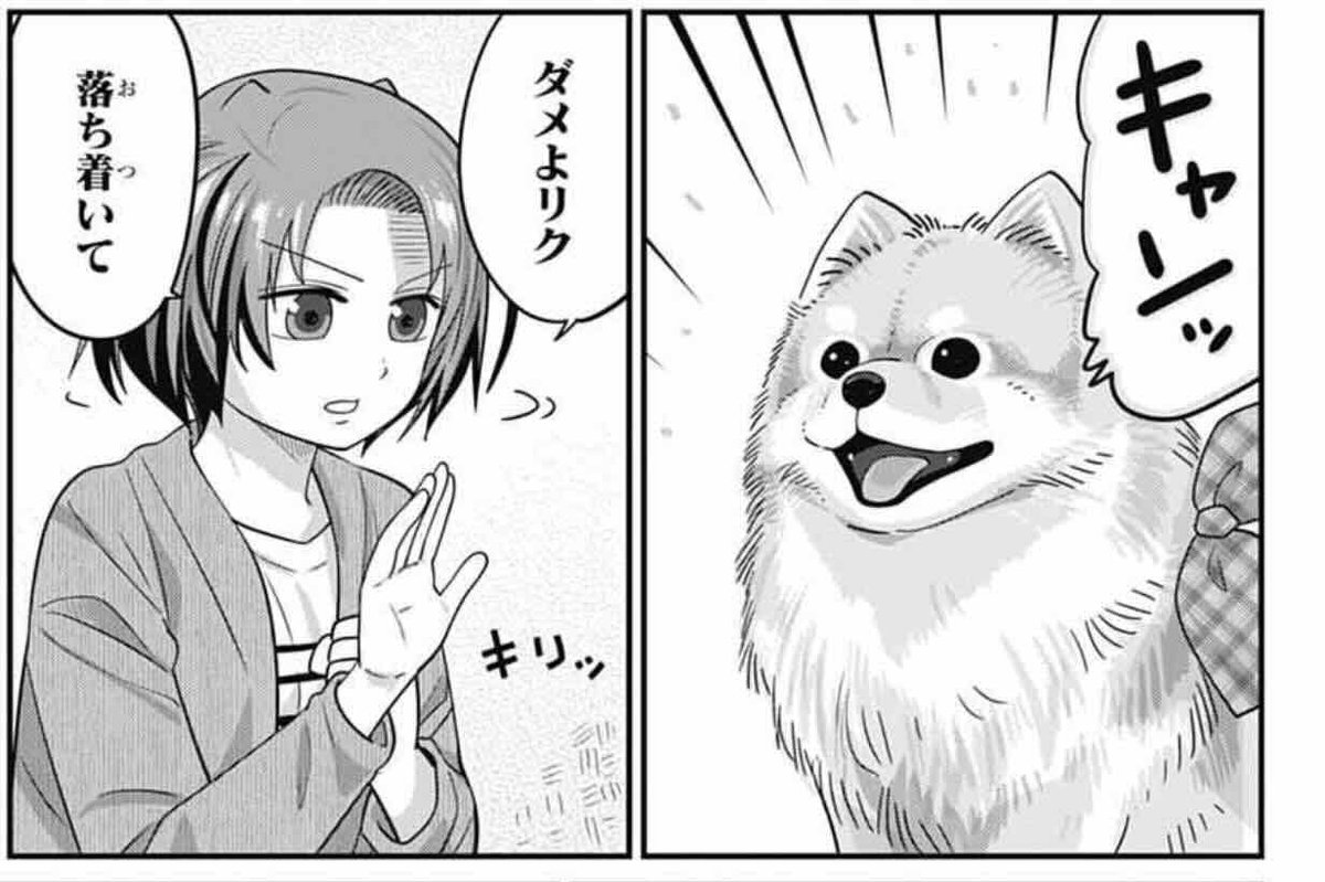 kidomitsuru's tweet image. 発売中のジャンプSQ.7月号に『カワイスギクライシス』載せてもらってます。
夜のニコくんが気になって眠れないミトラに遥斗がある提案を…?
リクのしつけをするのに今の環境が良くないと考えたフィアナは…?
という2本立てです。
楽しんでもらえたら嬉しいです。
どうぞよろしくお願いします!
