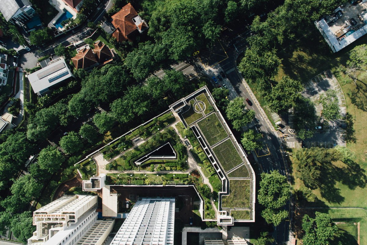 🏡 Green Roofs: a circular economy innovation hub.

Find out more here: naturbuild.eu/en/green-roofs…
#GreenRoofs ♻️ #CircularEconomy <a href="/EUErasmusPlus/">Erasmus+</a> <a href="/EU_Commission/">European Commission</a>