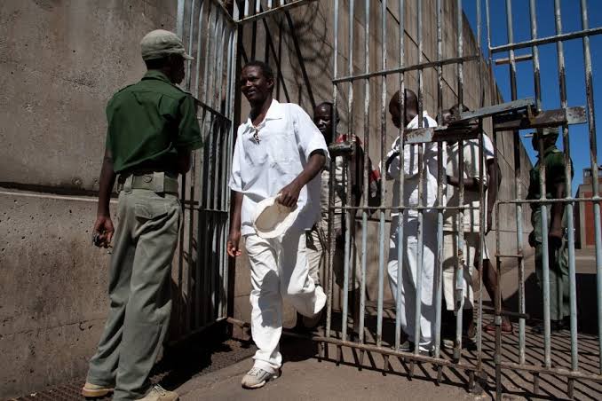 Isn’t it ironic that Zimbabwe is locking up South Africans for entering their country illegally, while there are 10 million Zimbabweans in South Africa, using our public services and taking our jobs? 

These Zimbabweans are relying on our healthcare, education, and other public