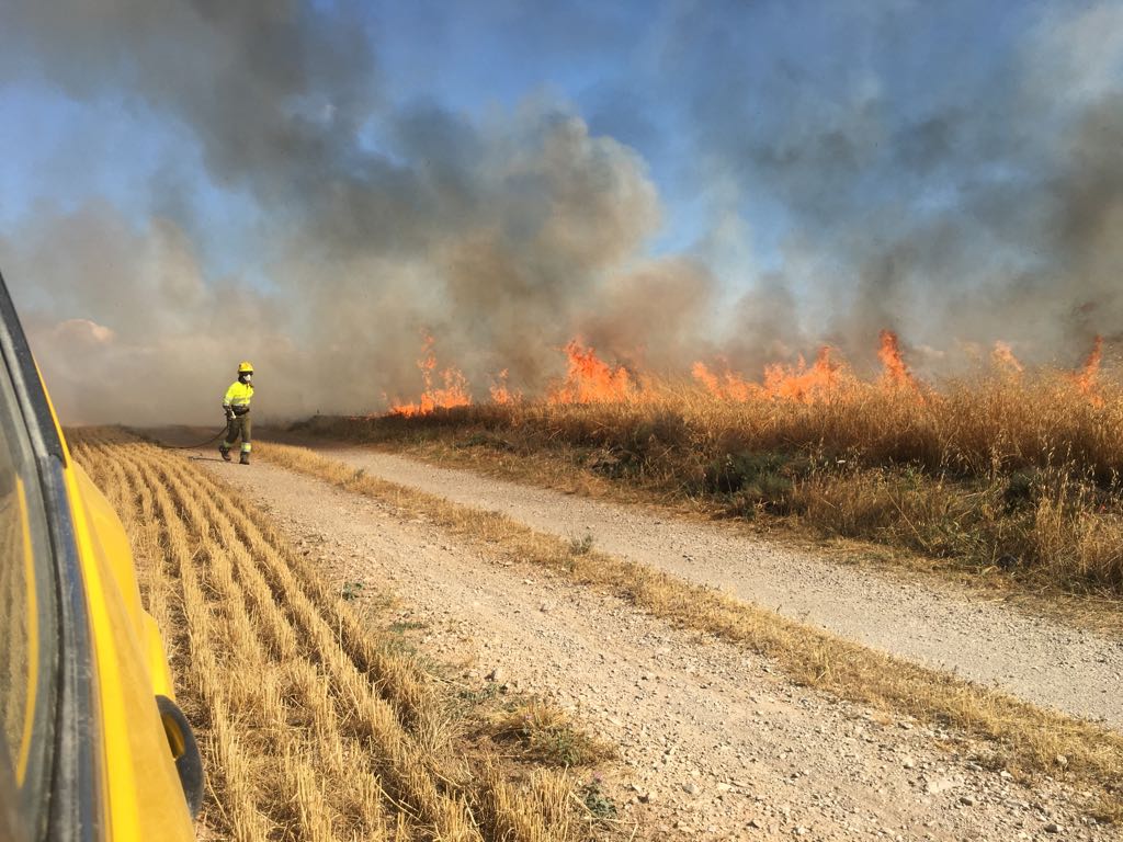 LA LLUITA CONTRA INCENDIS EN LA CAMPANYA DE SEGA

extensius.cat/2025/05/29/la-…