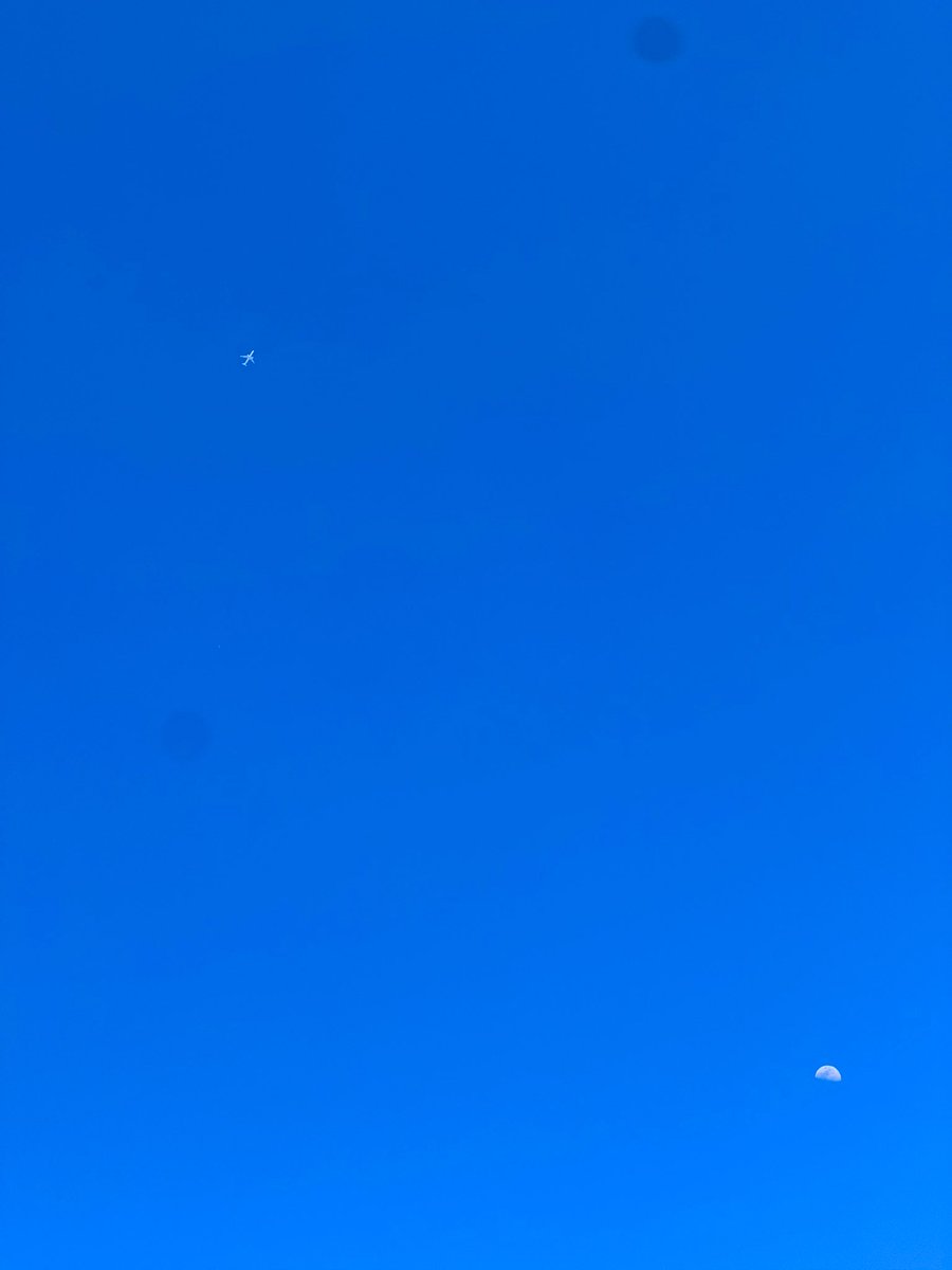 おはこんにちばんわ✨なおちこです😄

久々に青空を見たような☀️
夏の暑さに近づいています💫

長細ピーマンくんも出来上がり、
いよいよピーマンタイムって
感じです🫑🤗
ところで、ピーマンタイムって
なんですか😅？笑

#家庭菜園
#ピーマン