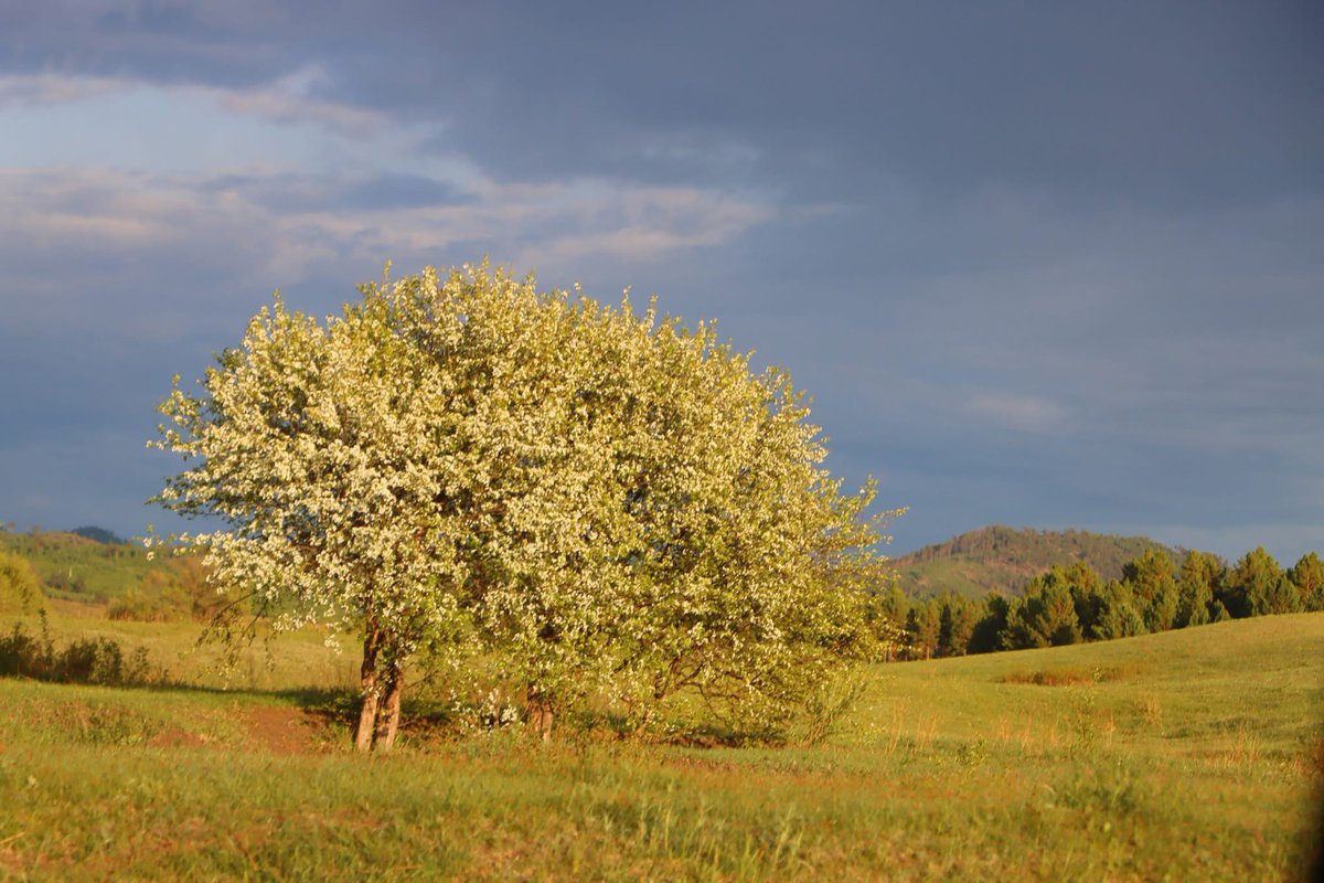 Ийм сайхан нутагт ажиллаж амьдардаг даа. Дорнод аймгийн Баян-Уул сум❤️❤️❤️