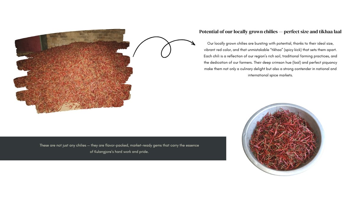 A Remarkable Day for Maa Tulasi Chilly Processing Unit!

#ChillyProcessing #FarmToMarket #WomenEmpowerment #AkshayPatraFoundation #BanajaBanijyaSangha #SustainableAgriculture #RuralDevelopment #OdishaInitiatives #CommunityStrength