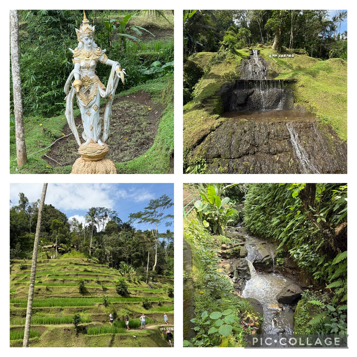 clayhead18's tweet photo. Sometimes you’ve just got to say sod it and book a holiday of a life time!
Take me back to Singapore &amp; Bali https://t.co/XpxqLmtiGP