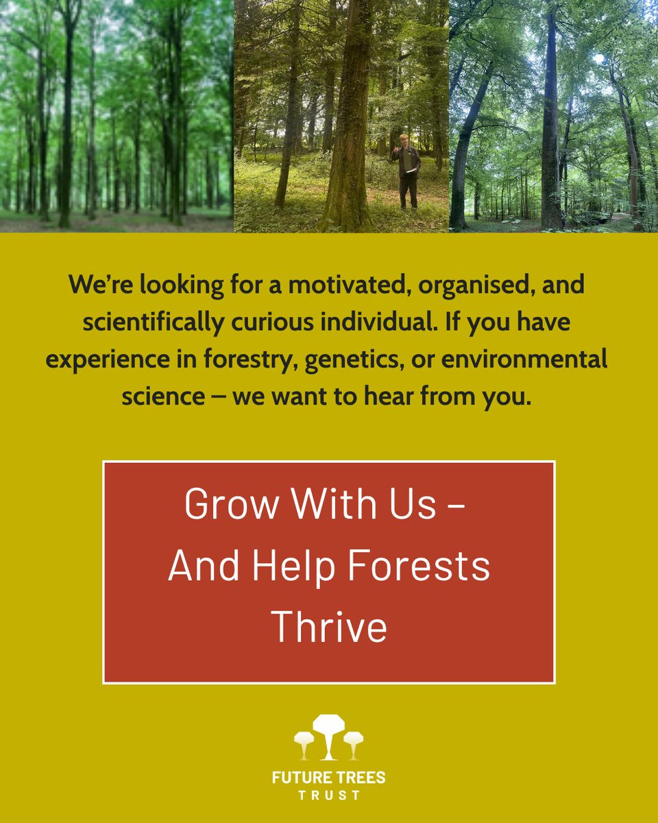 FutureTreesUK's tweet image. 🚨 Job Opportunity: Senior Researcher – Future Trees Trust
Are you ready to lead impactful research in forest genetics and tree improvement? We’re seeking a dynamic, experienced researcher to join our team and help shape the future of UK woodlands.
futuretrees.org/jobs/