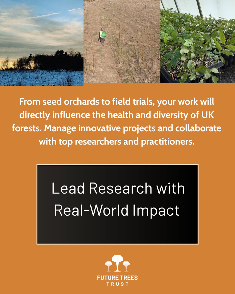 FutureTreesUK's tweet image. 🚨 Job Opportunity: Senior Researcher – Future Trees Trust
Are you ready to lead impactful research in forest genetics and tree improvement? We’re seeking a dynamic, experienced researcher to join our team and help shape the future of UK woodlands.
futuretrees.org/jobs/