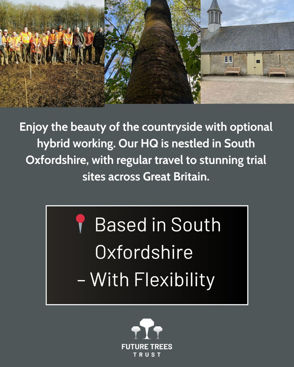 FutureTreesUK's tweet image. 🚨 Job Opportunity: Senior Researcher – Future Trees Trust
Are you ready to lead impactful research in forest genetics and tree improvement? We’re seeking a dynamic, experienced researcher to join our team and help shape the future of UK woodlands.
futuretrees.org/jobs/
