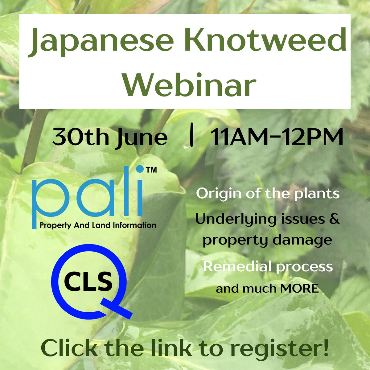 Pali Ltd tweet media