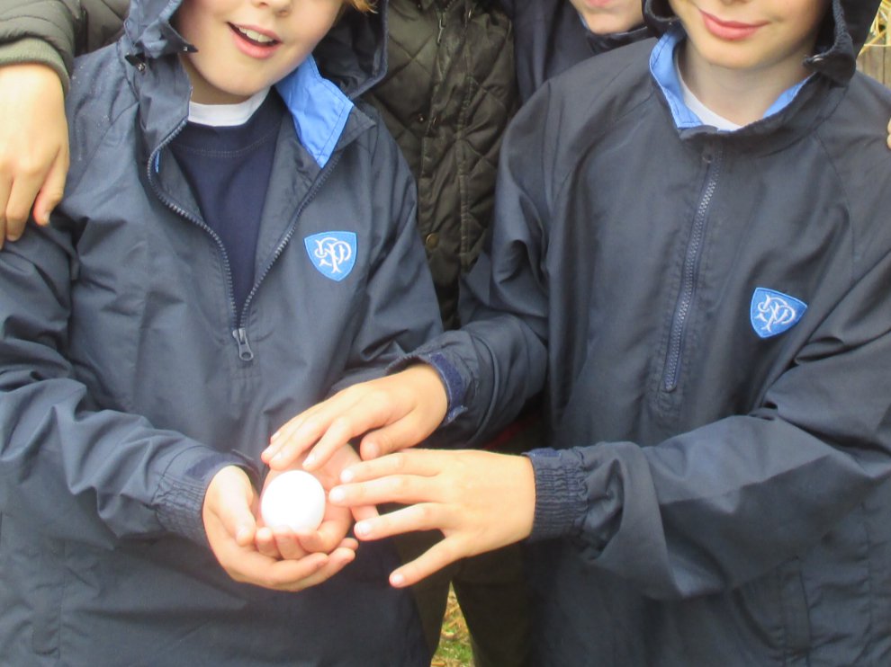 Dulwich Prep & Senior (@dulwichps) on Twitter photo Even though the weather changed on day two of our Year 4 residential trip at <a href="/MagdalenFarm/">Magdalen Farm</a>, the boys kept exploring the wilderness. They engaged in river study in the River Axe, pond dipping, crafting, and even gathered freshly laid eggs!
#DPS #DulwichPrepSenior #SchoolTrip Even though the weather changed on day two of our Year 4 residential trip at <a href="/MagdalenFarm/">Magdalen Farm</a>, the boys kept exploring the wilderness. They engaged in river study in the River Axe, pond dipping, crafting, and even gathered freshly laid eggs!
#DPS #DulwichPrepSenior #SchoolTrip