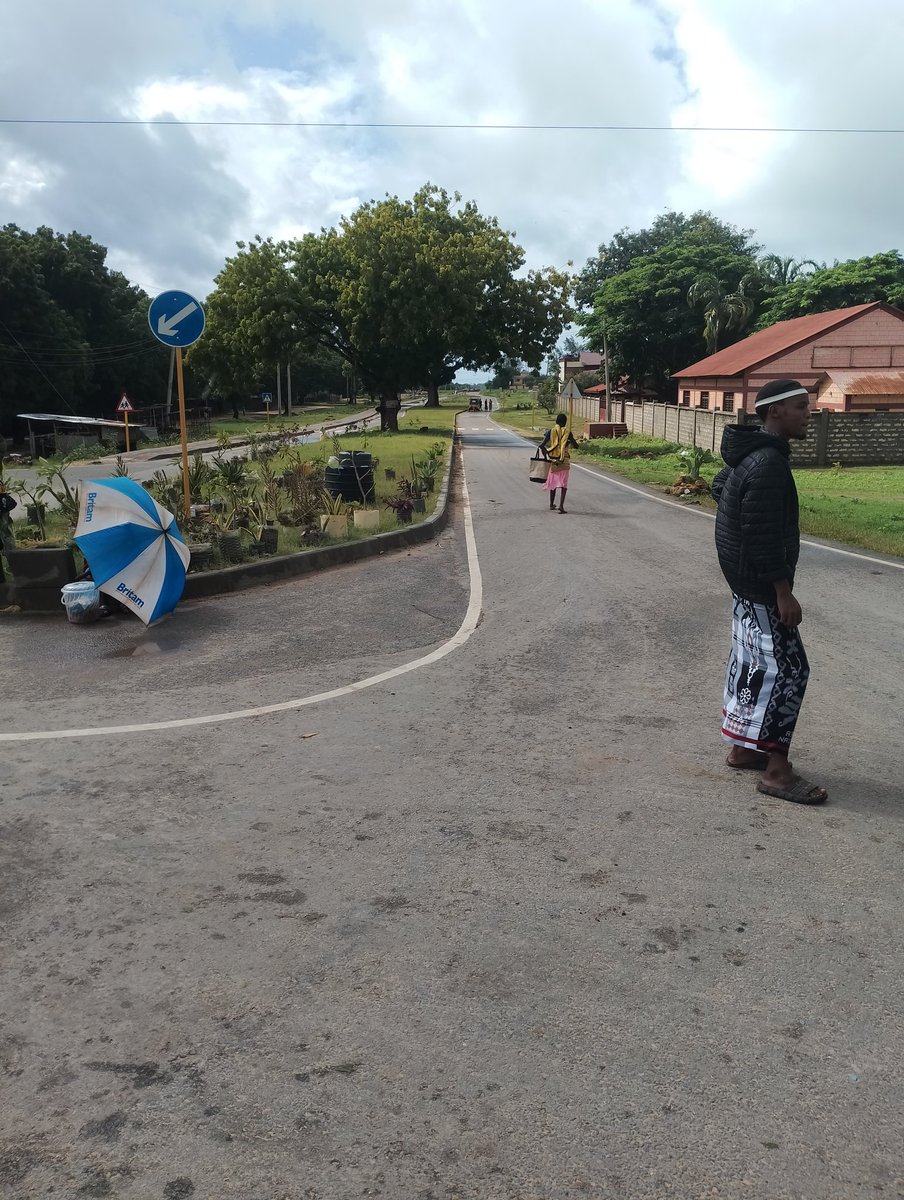 Because the trees came first, the road had to give way. This should be mandatory.#Kindiki, #Enda,#Eastleigh