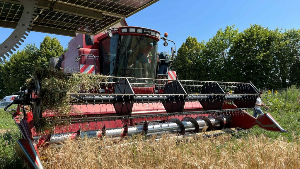 Agri-PV: Kaum Ertragsverluste durch die Solaranlage festgestellt: Österreichische Agrarforscher haben über ein Jahr lang eine Agri-PV-Anlage wissenschaftlich begleitet. Die jetzt veröffentlichten Ergebnisse sind vielversprechend. dlvr.it/TL8nLX