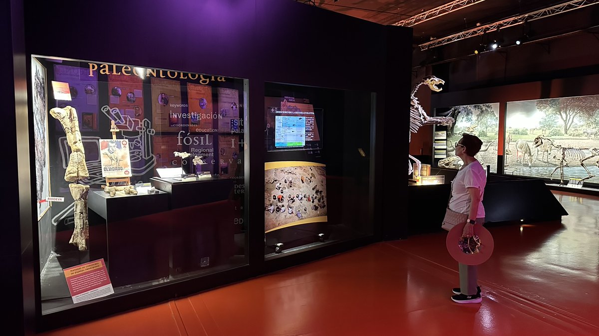 📢🆕 El cráneo de estegosaurio más completo de Europa ya puede verse en el Museo Aragonés de Paleontología en Dinópolis (Teruel) 🆕📢

👉 Más información en: bit.ly/Craneo_MAP

👉 El artículo científico está disponible en acceso abierto en: doi.org/10.3897/vz.75.…
