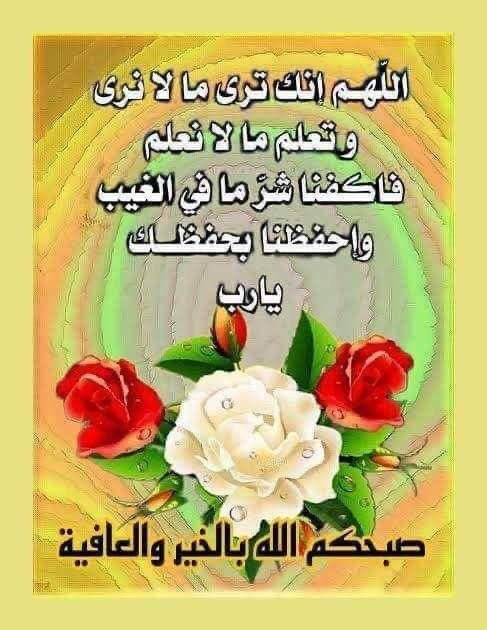 <a href="/DenyakDenyay/">DenyakDenya 👱‍♀️</a>