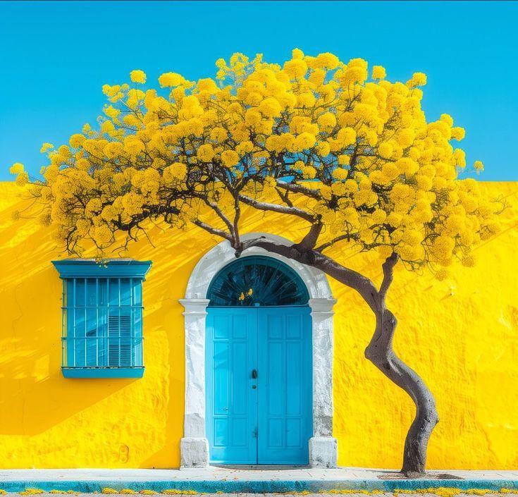 <a href="/SaraNadr19/">Sara Nader</a> 💛