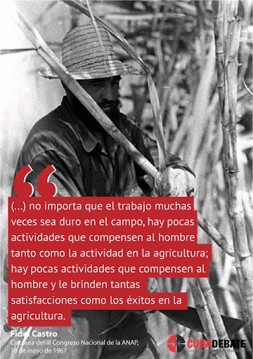 #FidelPorSiempre <a href="/MirtaGranda/">Mirta Granda Averhoff</a>