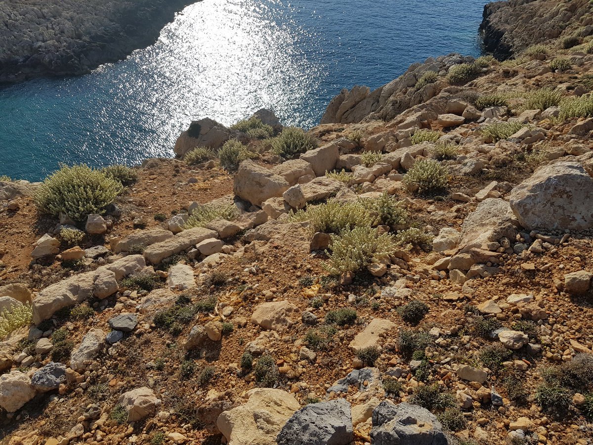 Patrizia_GE's tweet photo. Mur d'enceinte d'Aigilia, l'ancienne Anticythère, surplombant la baie qui abritait son port, à l'embouchure du Xeropotamos. https://t.co/K4uFhiksrK