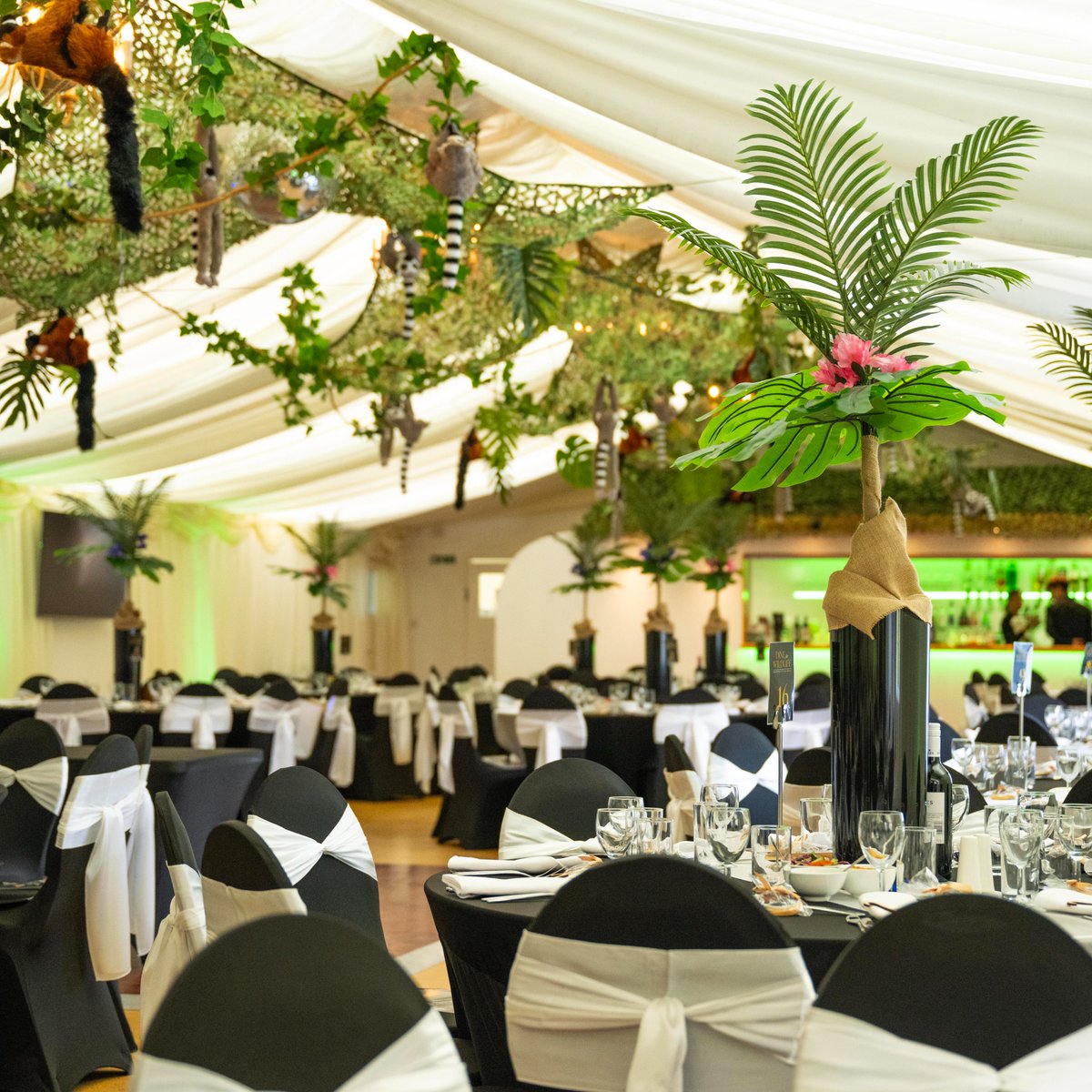 HertsZoo's tweet image. DINE FOR WILDLIFE 2025 IS NEARLY HERE! 🦁🥂
Get ready for a unforgettable evening on Saturday 5th July 2025, as we set out to raise vital funds for @wildlifevetsint. 💜
Dine For Wildlife is a Charity Fundraising Ball with exclusive entertainment, delicious three course meal,…