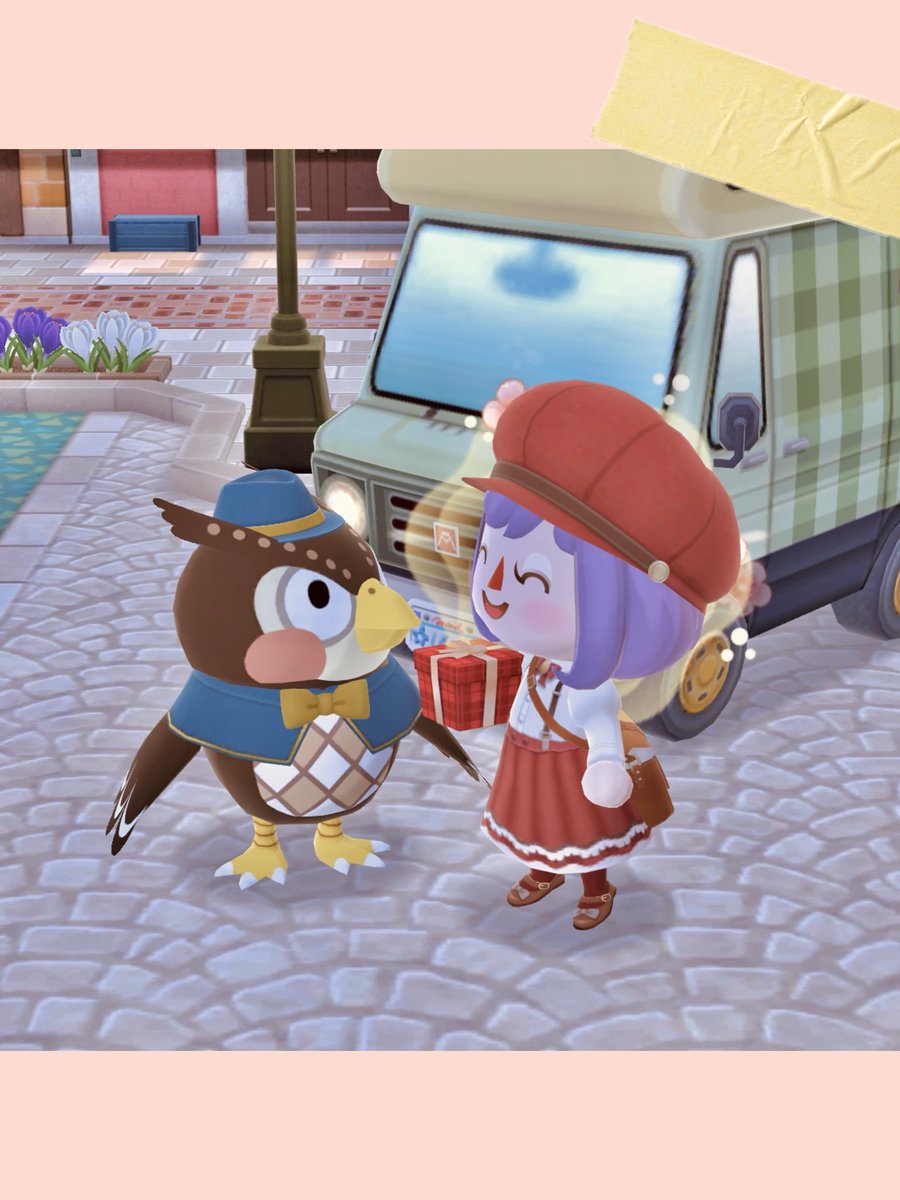 🦉💌