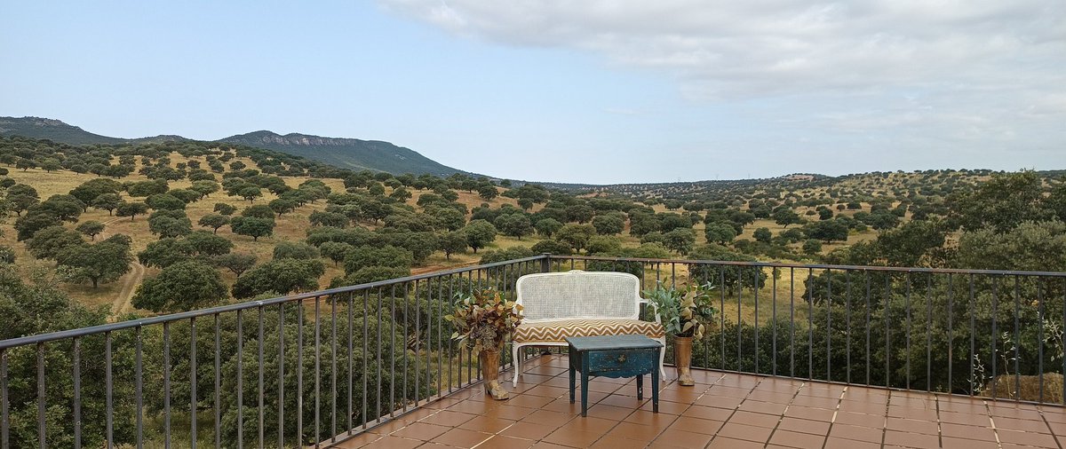 Jesús López Colmenarejo tweet media