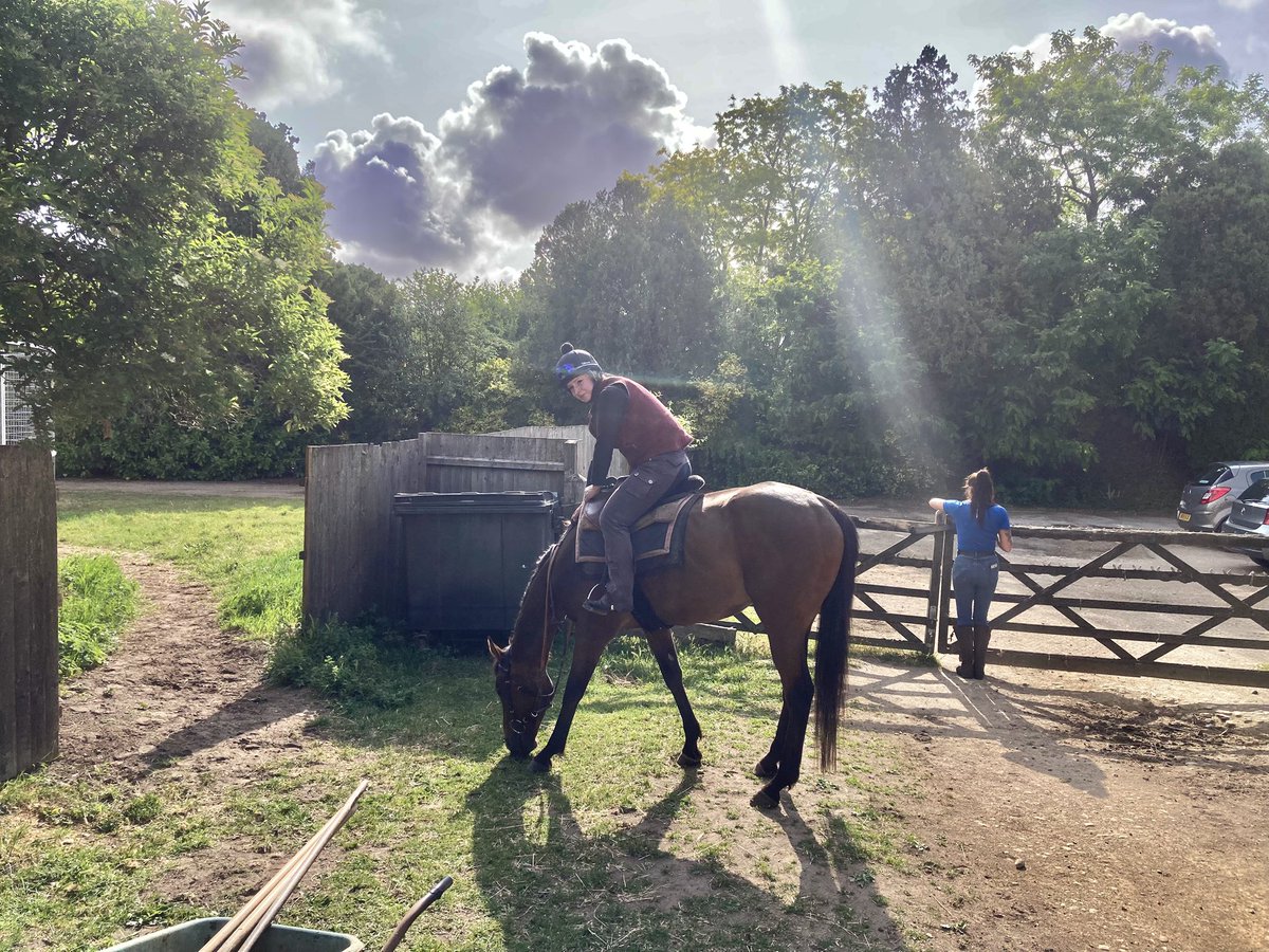 John Berry (@johnwathenberry) on Twitter photo Fresher & breezy this morning <a href="/NewmarketGallop/">Newmarket Gallops</a>. 9 degrees at daybreak; currently 12; forecast high 18. Bits of sun, bits of cloud. Some rain yesterday but youād hardly know it now. Fresher & breezy this morning <a href="/NewmarketGallop/">Newmarket Gallops</a>. 9 degrees at daybreak; currently 12; forecast high 18. Bits of sun, bits of cloud. Some rain yesterday but youād hardly know it now.