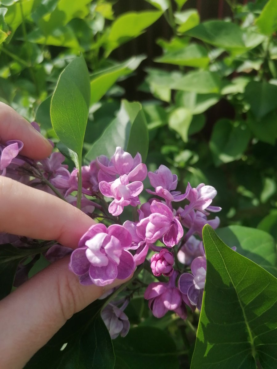 Доброго утра всем 🌿