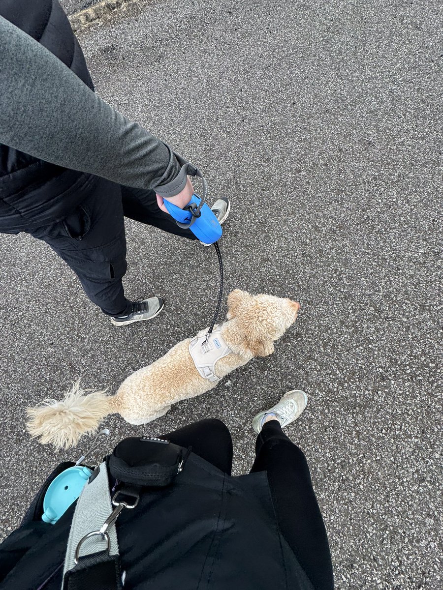 Jennifer Fish (@_jenniferfish) on Twitter photo Starting off the #100kminJune strong for <a href="/DayOneTrauma/">Day One Trauma Support</a> with a 6km walk around Derwent Reservoir. If you would like to support please use the link below to donate to this amazing charity! fundraise.dayonetrauma.com/fundraisers/jeβ¦ Starting off the #100kminJune strong for <a href="/DayOneTrauma/">Day One Trauma Support</a> with a 6km walk around Derwent Reservoir. If you would like to support please use the link below to donate to this amazing charity! fundraise.dayonetrauma.com/fundraisers/jeβ¦