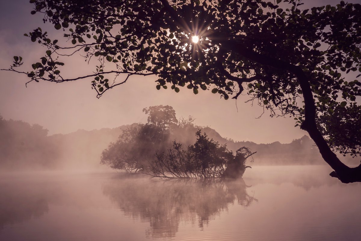 A mysterious and beautiful May sunrise at Pen Ponds, Richmond Park. 
<a href="/theroyalparks/">The Royal Parks</a> #RichmondPark #mistymorning #sunrise