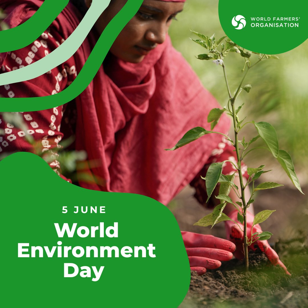 WFO (@worldfarmersorg) on Twitter photo #Farmers rely on nature — and they’re its true safeguards! 🍃🌍
This #WorldEnvironmentDay highlights plastic pollution — a challenge farmers are already tackling!
How do you cut plastic on your #farm, and what would help you scale up?👇💬
<a href="/UNEP/">UN Environment Programme</a> #FarmersInAction #Farmers4Nature #Farmers rely on nature — and they’re its true safeguards! 🍃🌍
This #WorldEnvironmentDay highlights plastic pollution — a challenge farmers are already tackling!
How do you cut plastic on your #farm, and what would help you scale up?👇💬
<a href="/UNEP/">UN Environment Programme</a> #FarmersInAction #Farmers4Nature
