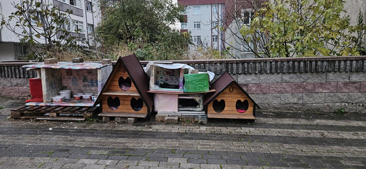 E⃨r⃨d⃨i⃨n⃨ç⃨c⃨i⃨ğ⃨i⃨m⃨ HEPŞEN 𝕏 (@eerdincus) on Twitter photo <a href="/uskudarbld/">Üsküdar Belediyesi</a> Burası Üsküdar'da konumuda linkte umarım kaldırırsınız.
maps.app.goo.gl/1tfG1v5ikiv94C… <a href="/uskudarbld/">Üsküdar Belediyesi</a> Burası Üsküdar'da konumuda linkte umarım kaldırırsınız.
maps.app.goo.gl/1tfG1v5ikiv94C…