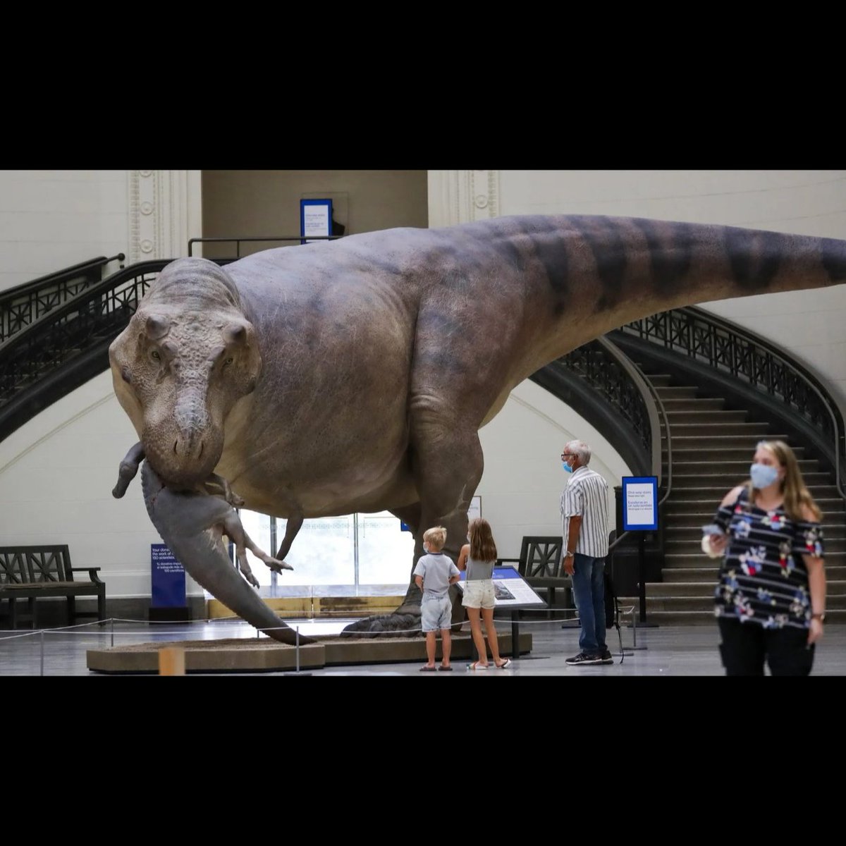 공룡덕후박람회의 하이라이트, 제1대 공통령 선거. 1025표로 티라노사우루스 당선. 축하드립니다. 아래는 5년전 필드자연사박물관에 전시됐던 티라노사우루스의 전신 복원 모형.