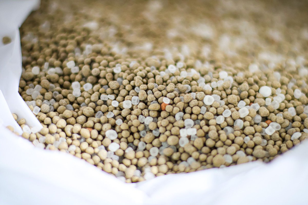 McCreath Simpson & Prentice tweet media