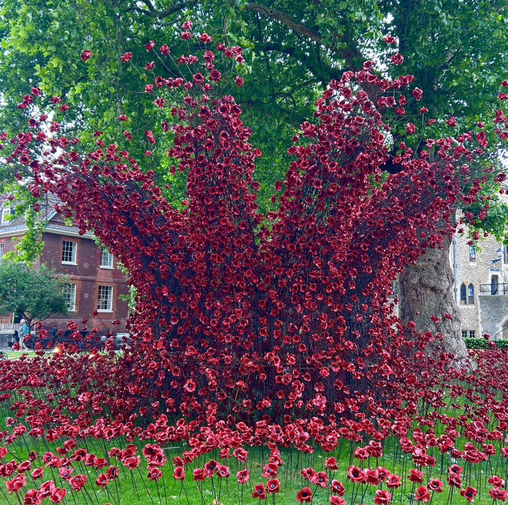 Lovely display on show <a href="/TowerOfLondon/">The Tower of London</a> of the VE Day commerative poppies! 💂‍♂️