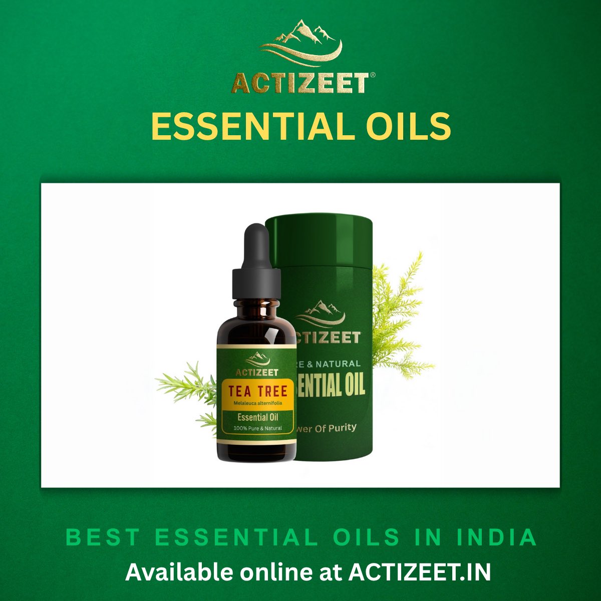deka_neha's tweet photo. You didn’t need loud solutions. Just a quiet bottle of ACTIZEET Eucalyptus Essential Oil. You inhaled, and clarity returned. That’s how the best essential oils heal—from within.

#ACTIZEET
https://t.co/HlyYuSO1iA https://t.co/j59ofpO48e