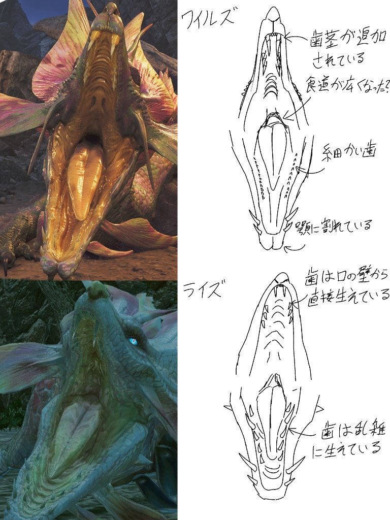 タマミツネの顔と口比較。細かい変更点が色々あって面白い