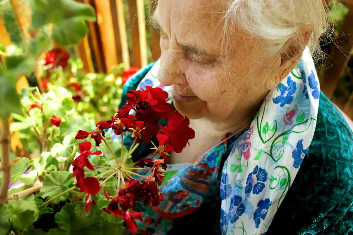 El #CLÍNIC - @IDIBAPS impulsa un innovador estudi per a la detecció precoç del #Parkinson a través d’un test d’olfacte

Participa a “Smell Test Direct” 👉clinicbarcelona.org/ca/noticies/el…