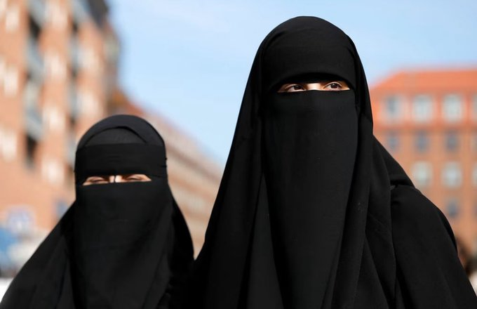 Vivid.🇮🇱 tweet media